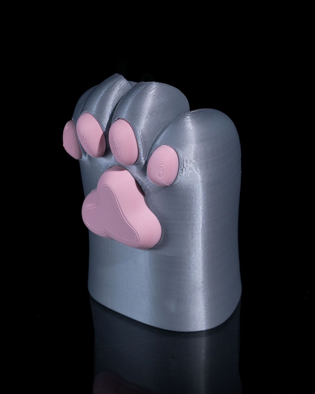 Pawncil case