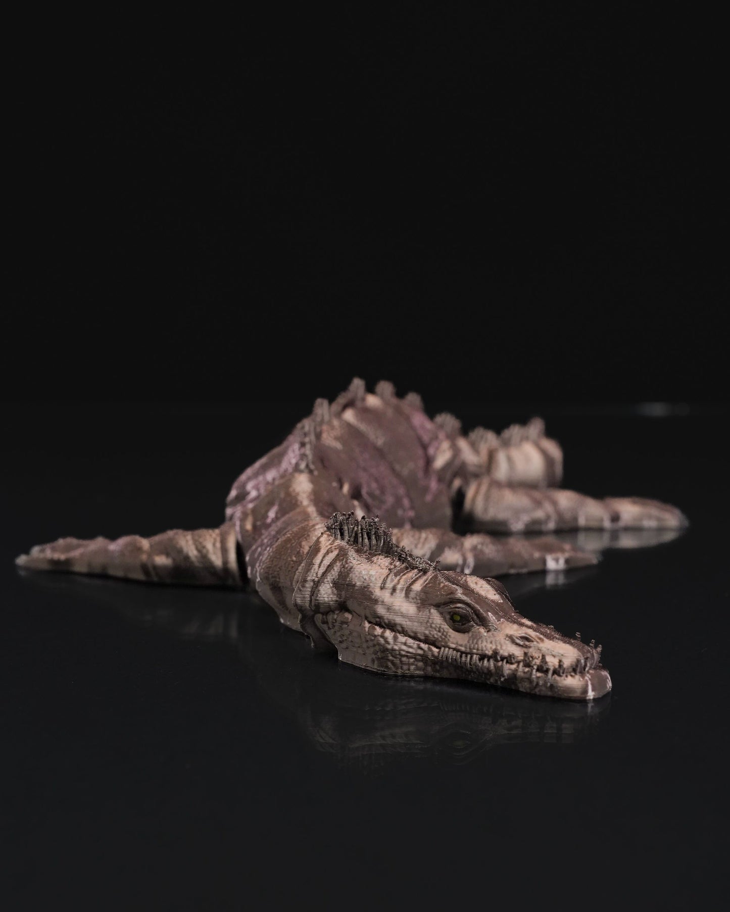 Nothosaurus