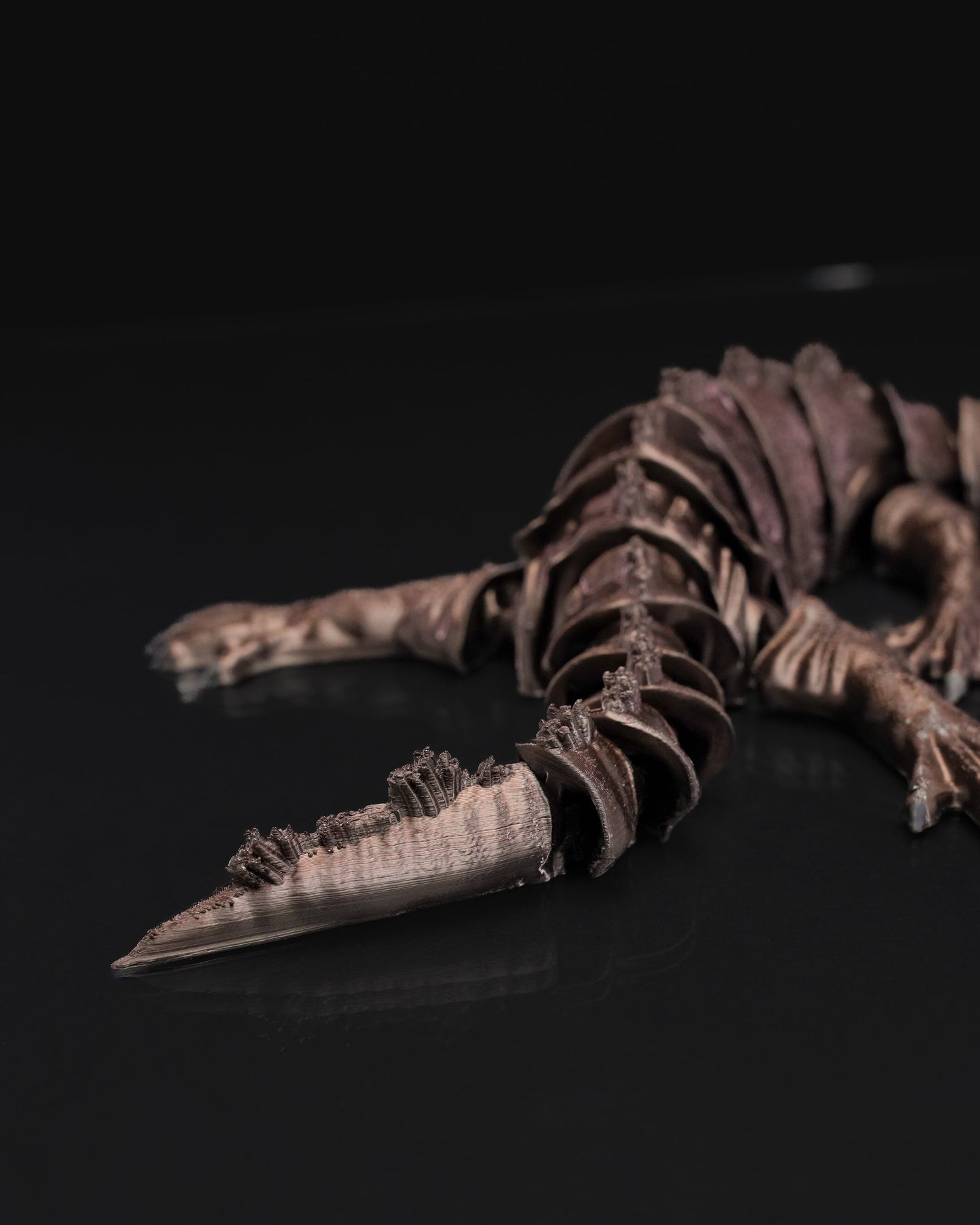 Nothosaurus