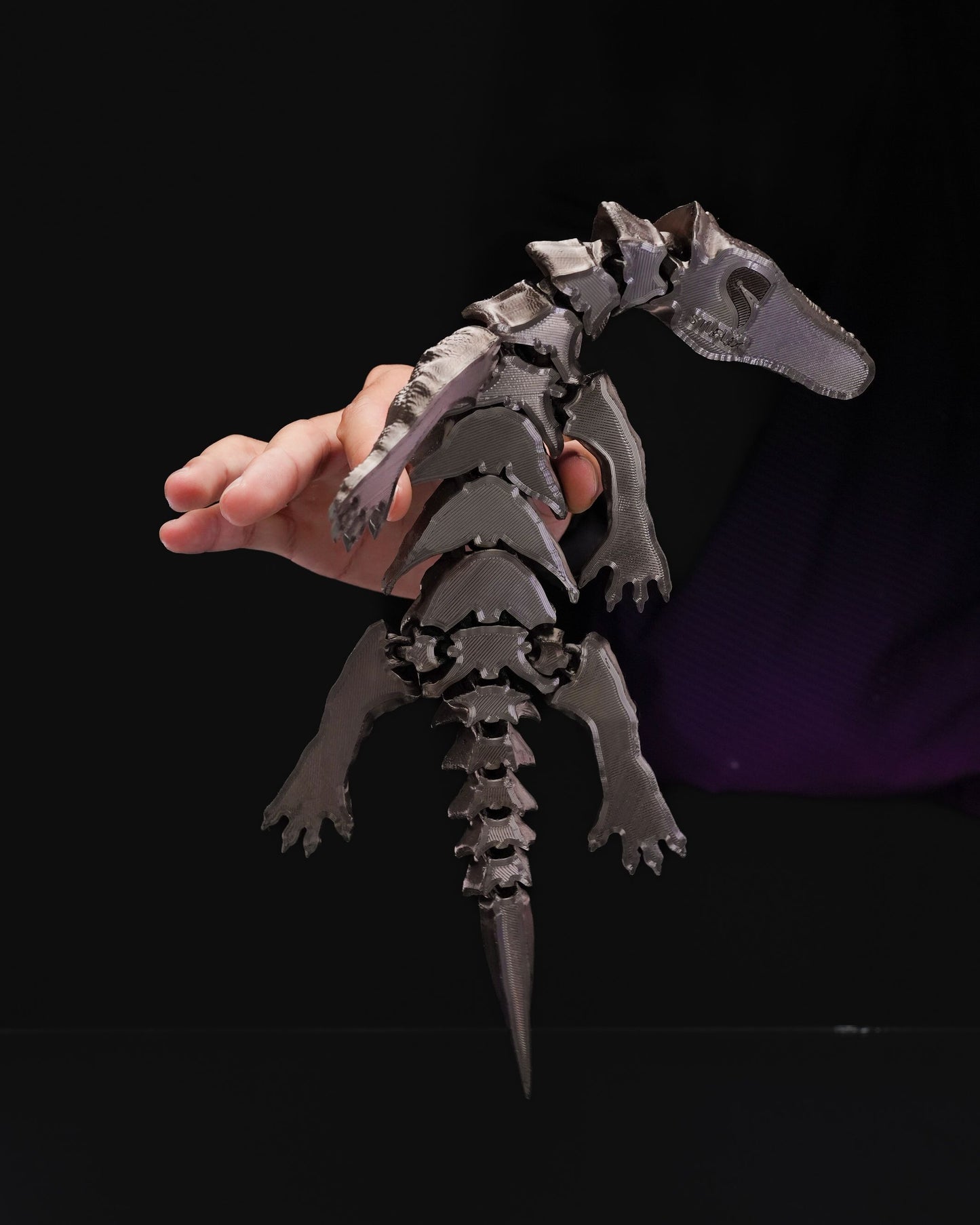 Nothosaurus