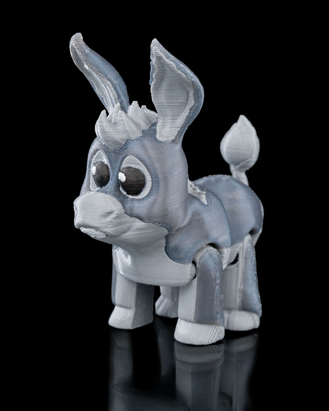 Burro
