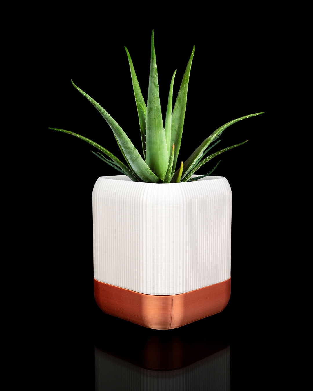 🌱 Maceta Geométrica 3D nórdica TerraCube