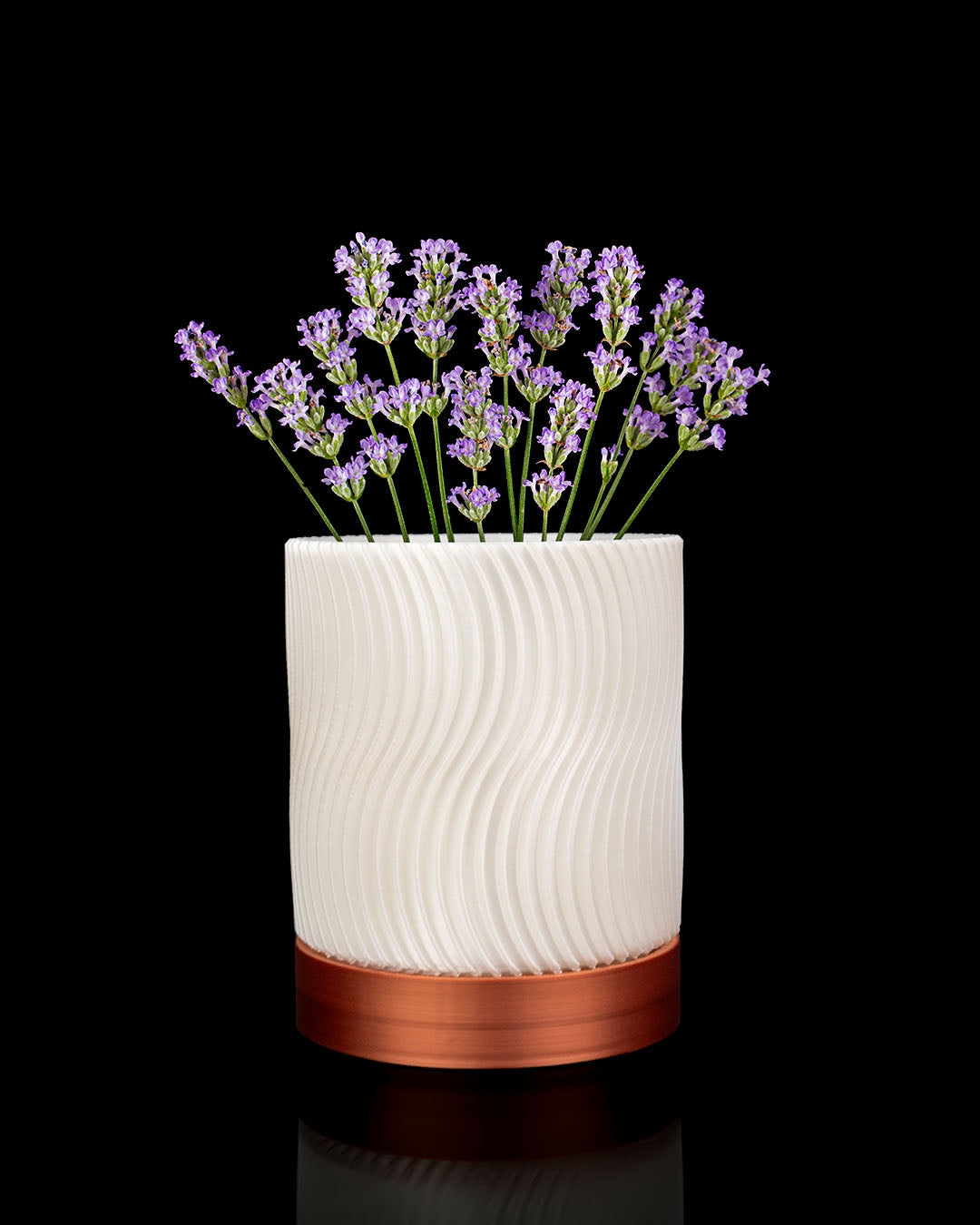 🌿  Maceta Nórdica 3D de pared WallBloom