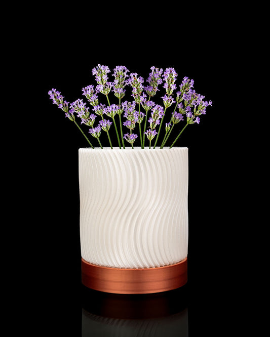 🌿  Maceta Nórdica 3D de pared WallBloom