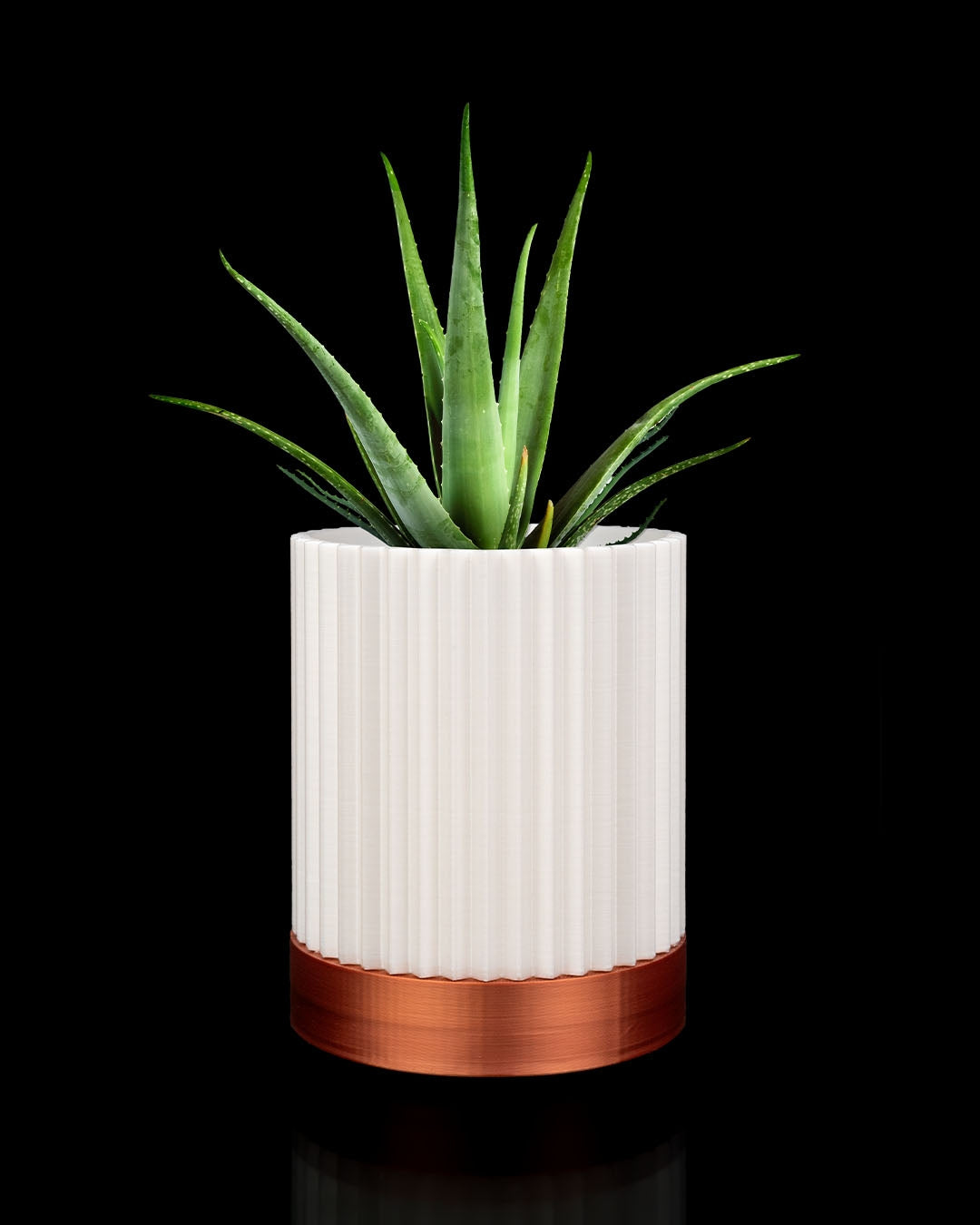 🌿  Maceta Nórdica 3D de pared WallBloom