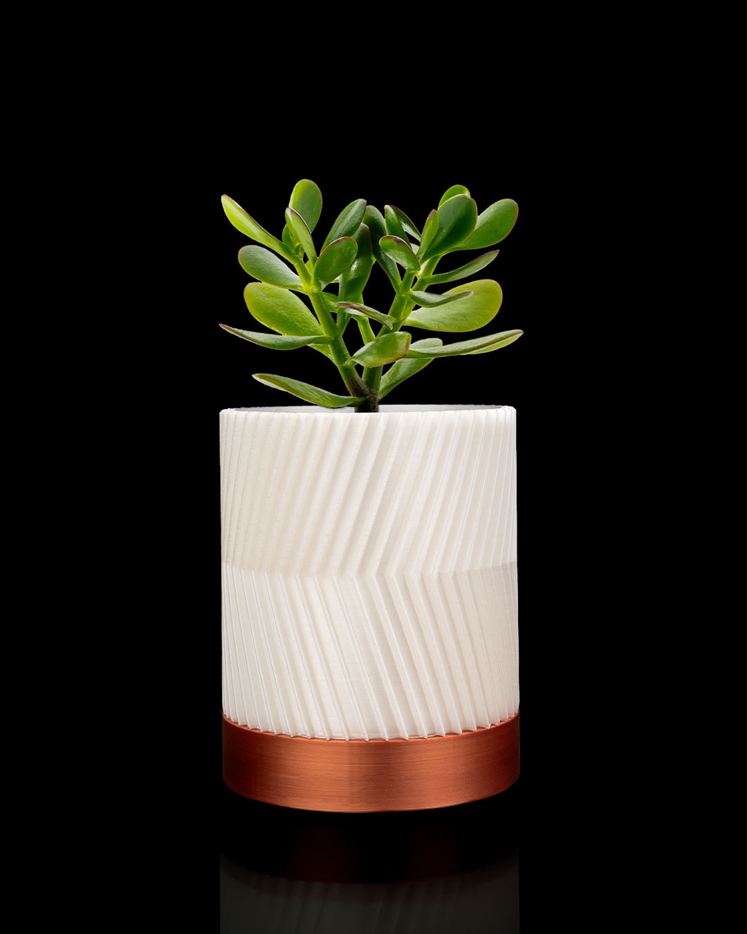 🌿  Maceta Nórdica 3D de pared WallBloom