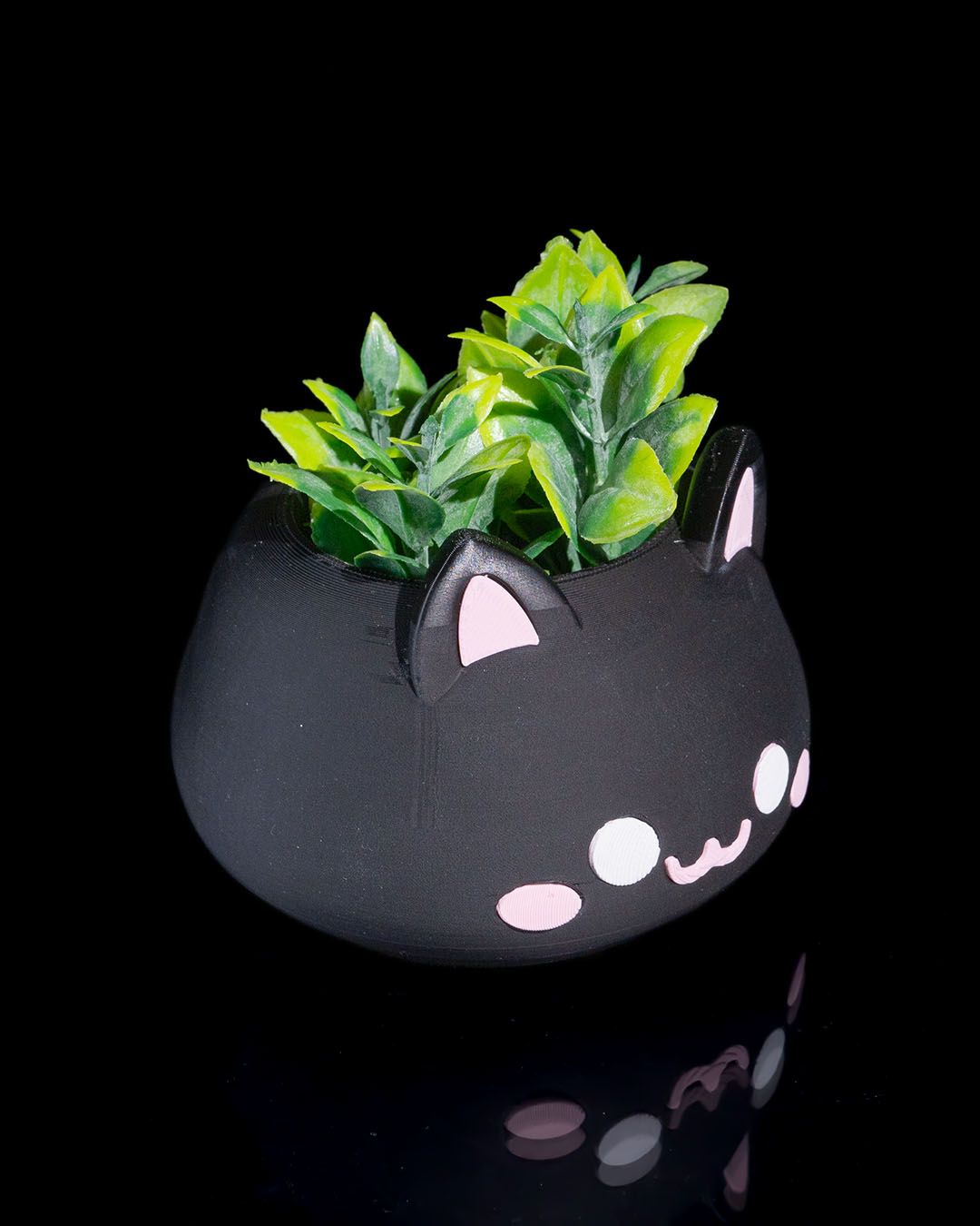 Catplanter