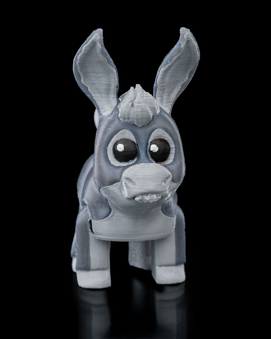 Burro