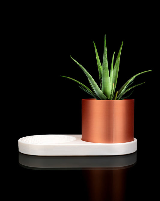 🌿 Bandeja Nórdica 3D BloomTray